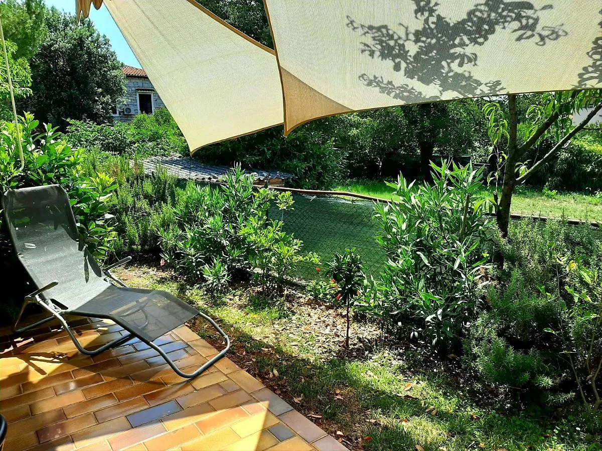 Apartman Fiorini Zofija Apartment Brtonigla